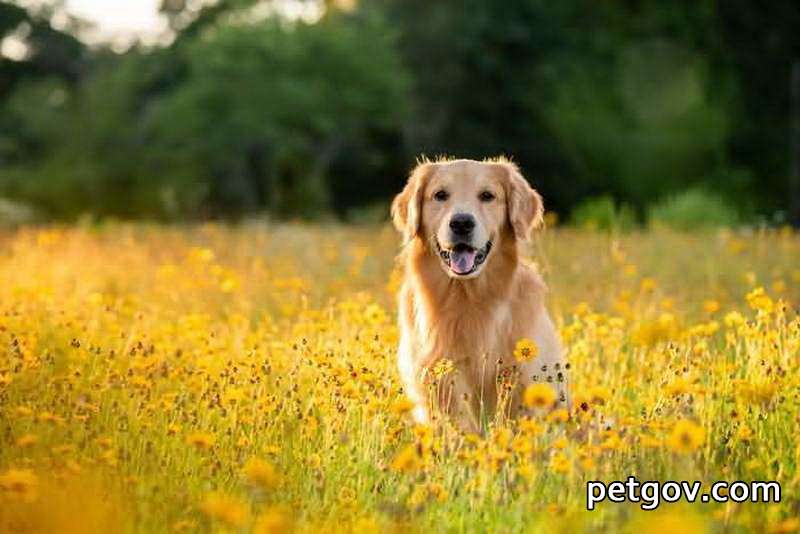 Can dogs eat fish bones?