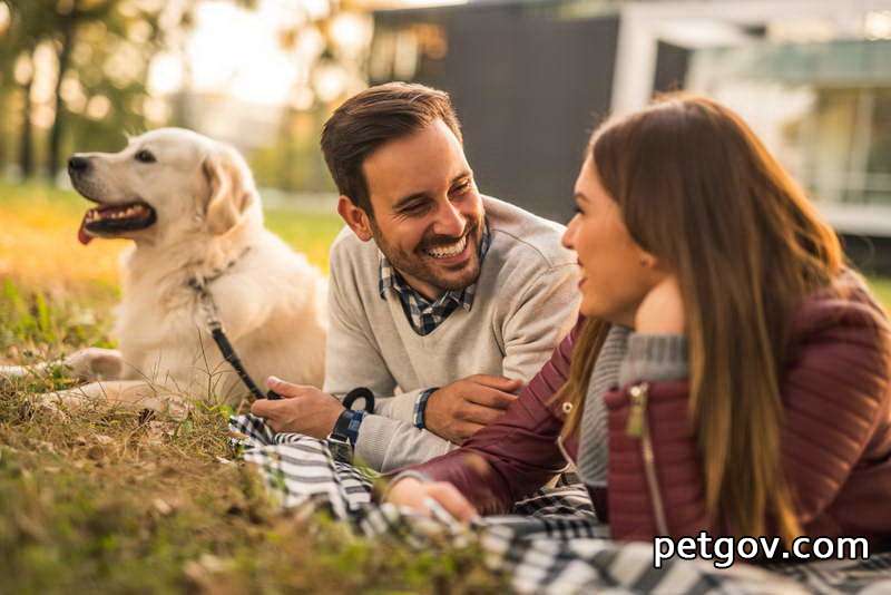 Wie man einem Hund beibringt, die Toilette zu benutzen