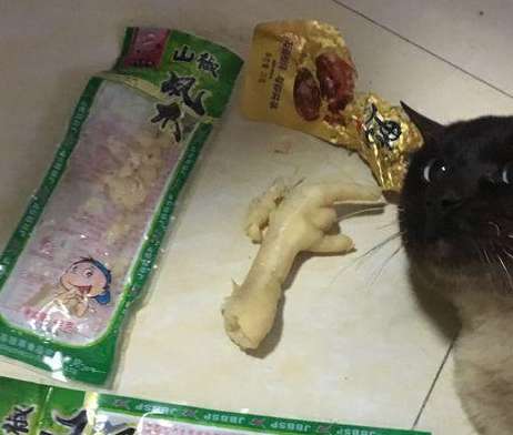 ﻿Cat stealing to eat pickled pepper chicken feet was caught by the girl on the spot, netizen saw the laugh to burst into tears hot dead father!
