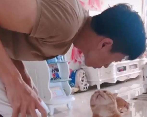 ﻿The woman left work early, saw her husband making out with the cat and didn't want to talk