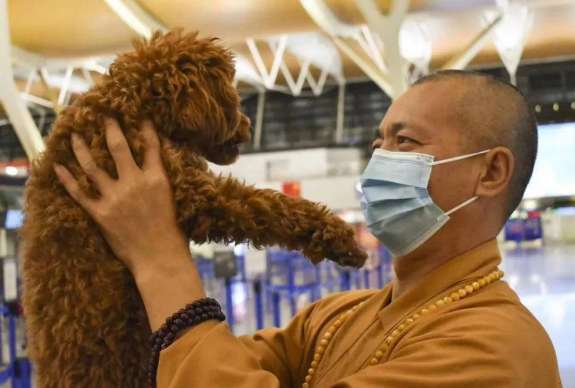 Rescued more than 5,000 stray dogs in 27 years, but the monks had no time to chant sutras, so he spent all his savings to give them a home. Give them a home