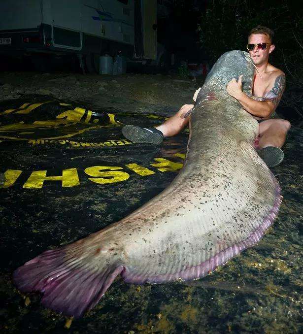 A man caught a 113-kilogram catfish and took 40 minutes to drag it ashore.