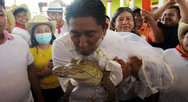 墨西哥一位市长连续两年与鳄鱼结婚，还称我们彼此相爱