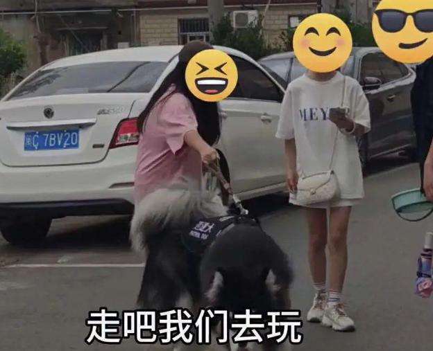 有多少狗被大学生遛废了？