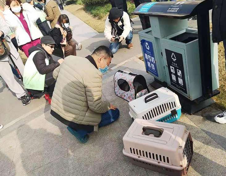 社区来了辆移动绝育车，一出门猫狗就“不完整”了