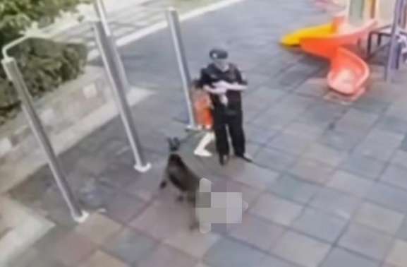 The little boy was bitten by a large dog. The security guard shouted, but the dog owner was late.