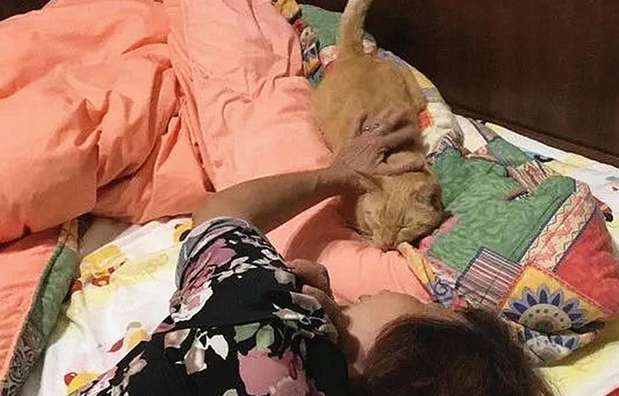 My brother sent me a photo, and I saw my mother being intimate with the cat and didn't want to talk anymore.