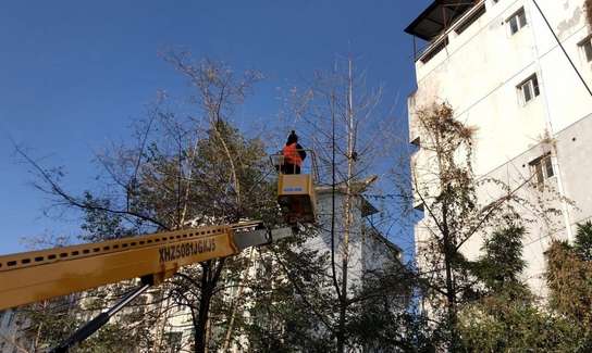 The cat was trapped on the top of a tree more than 10 meters away and was in danger. I couldn’t help but sweat after watching it.