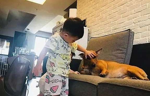 The child and the dog got angry back to back, thinking they would have a long cold war, but they didn't expect the dog to be fooled.