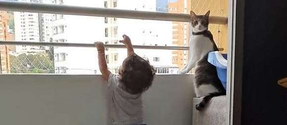 The boy climbed to the balcony. The parents were still calmly filming the video, but the cat beside him was very touching.