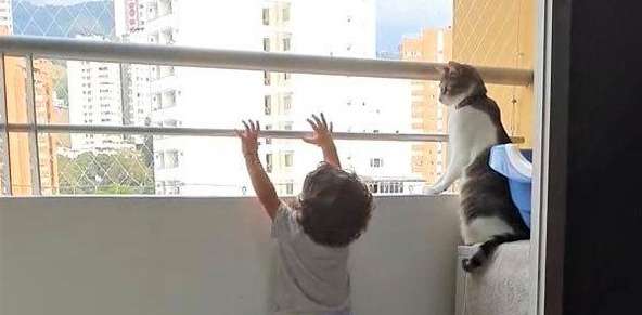 The boy climbed to the balcony, the parents are still calmly filming the video, but the cat beside is touching