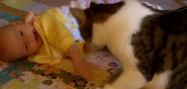 The cat suddenly stretched out its claws towards the baby. The woman felt a little uneasy, but then she said it was so heartwarming.