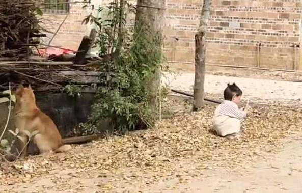 A cute baby and a dog are having fun back to back. I couldn't help but complain: You are at an age that even dogs are disgusted by.