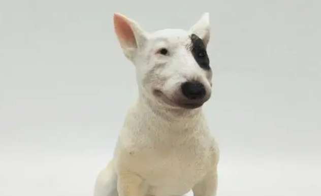 What are the beauty care precautions for Bull Terriers?