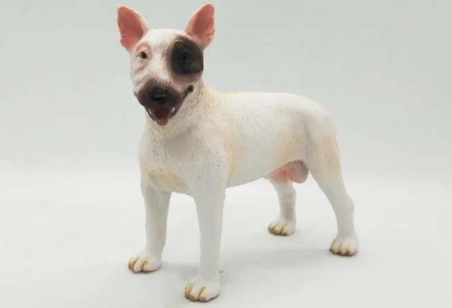 What are the beauty care precautions for Bull Terriers?