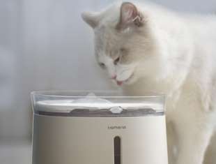 Pros and Cons of Cat Automatic Water Dispensers