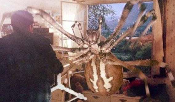 1990 Incident d'araignée mutante en Ukraine