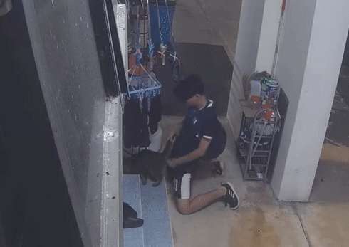 Singaporean teenager takes off his pants and rubs his pussy in the corridor