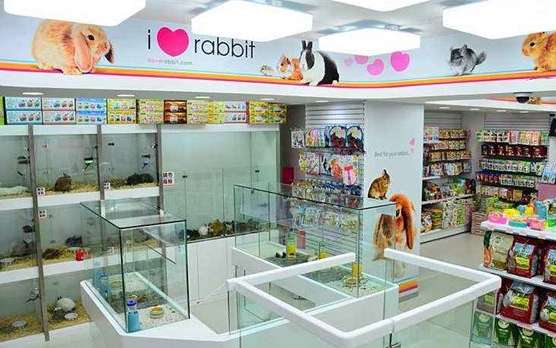 Comprehensive list of pet shop names in Korea