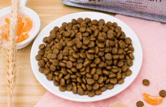 How to get four-star dog food