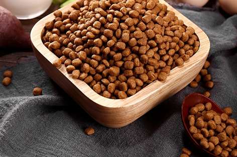 How to make money selling dog food