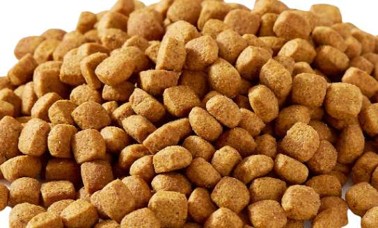 How to remove odor from dog food storage box