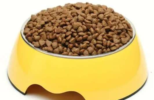 How to make cat food boxes from dog food