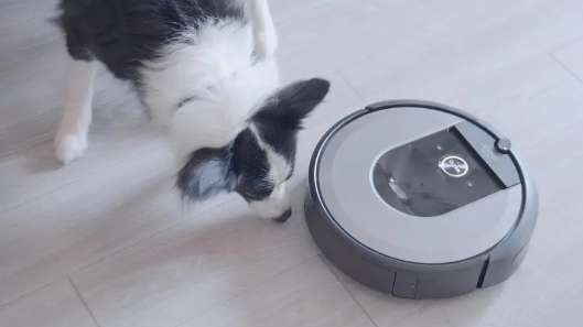What kind of sweeping robot should I use for pets?