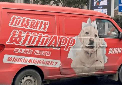 Can Lalamove transport pets across provinces?