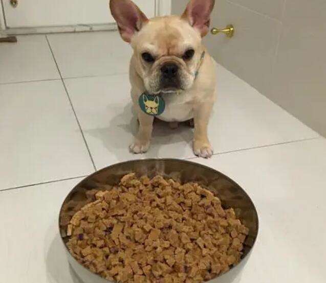 Video tutorial on how to make cylindrical dog food from meat
