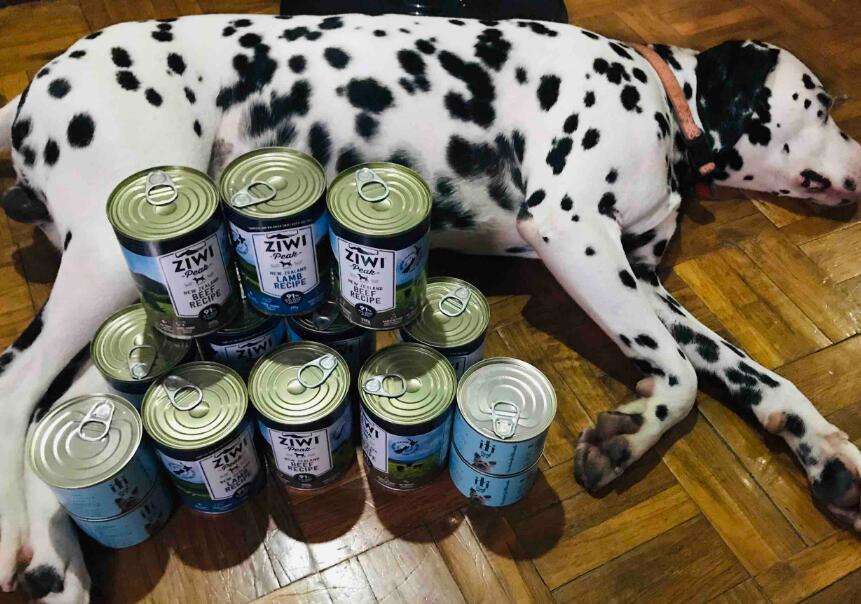 How to make canned dog food without an oven video