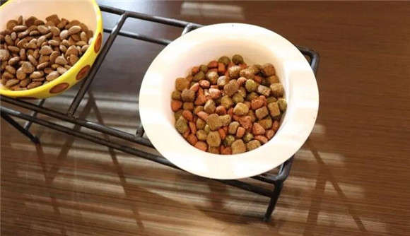 How to make Shengxing dog food delicious