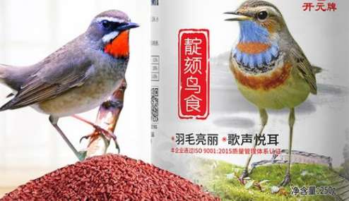 Indigo chin bird food Five major food brands