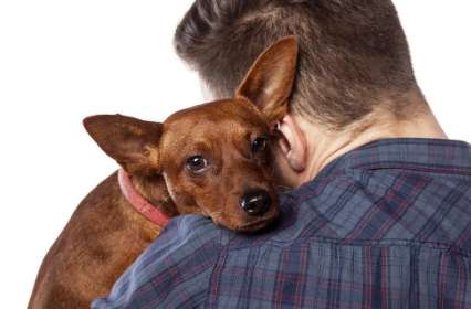 Dogs like to sleep on their owners’ shoulders