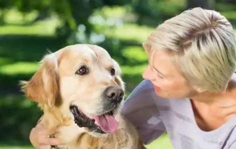 Why do dogs favor their owners? What about partial owners?