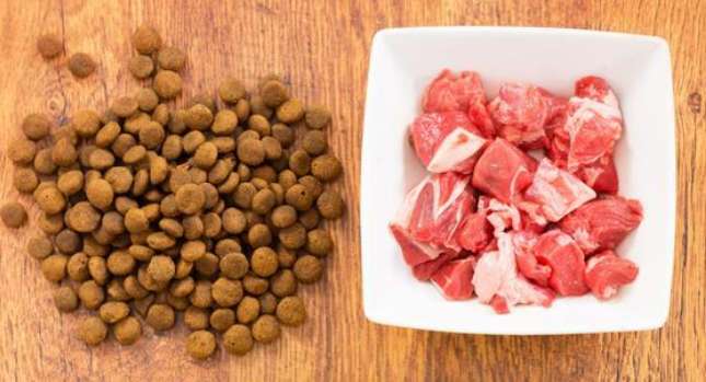 How to make dog food and keep it for a long time
