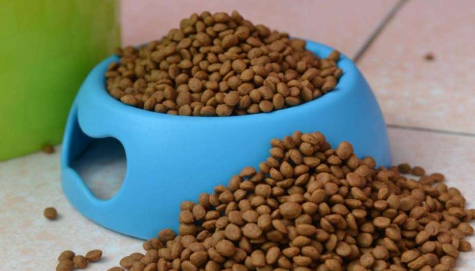 How to turn dog food into powder