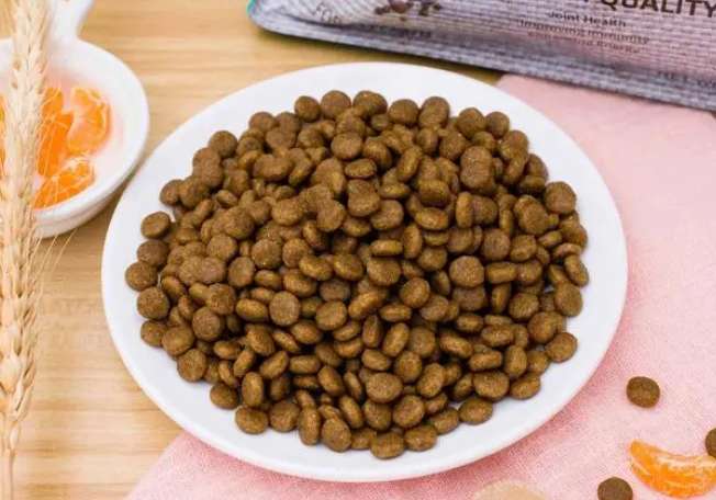 How to make dog food delicious