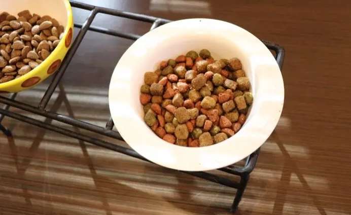 How to buy cheap dog food