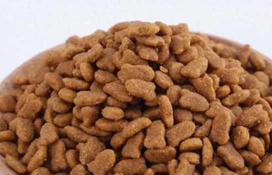 How to make homemade cat food?