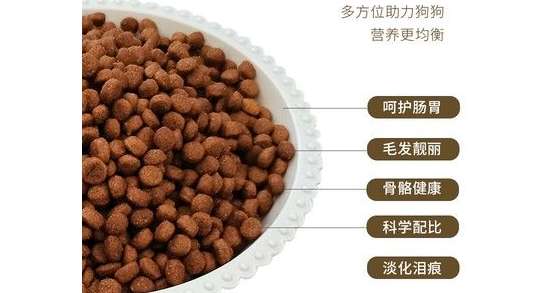 How to buy Guanneng adult dog food