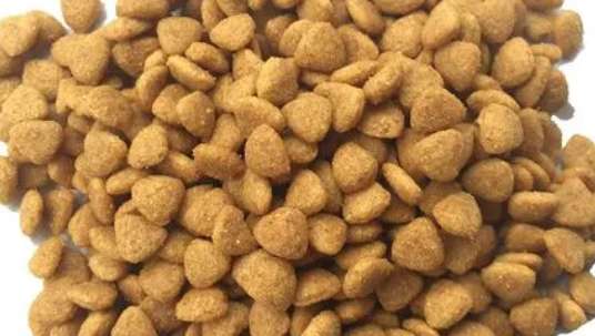 How to buy native dog puppy food and dog food