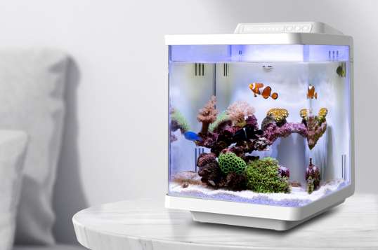 Hai Xiang Can the fish tank be modified? width=