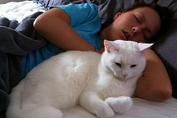 Why does a cat see its owner sleeping?