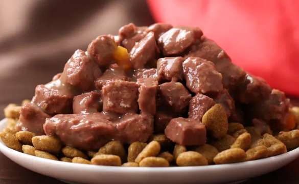 How to use dog food to help dogs lose weight