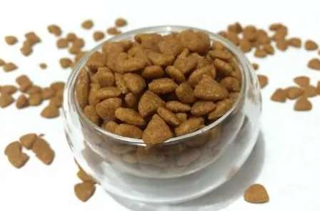 How to make homemade dog food ingredients