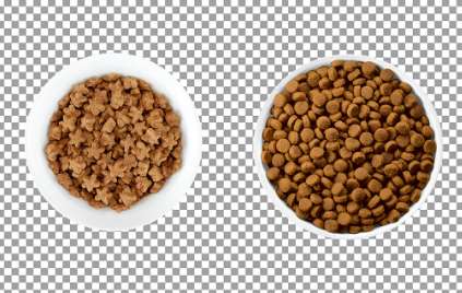 How to record the dog food for the watchdog?