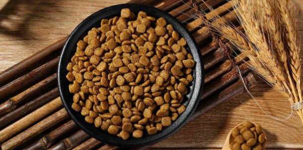 How to sell dog food and dog treats online