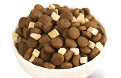 How to store dog food after opening it