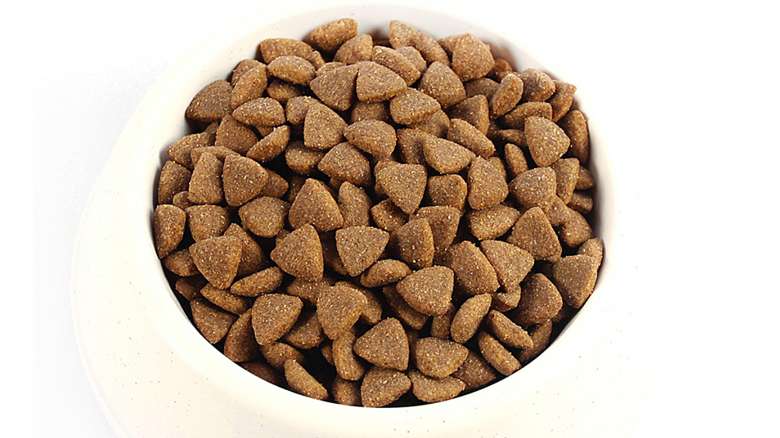 Is Dongbian pet food good? Good